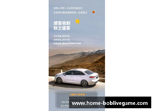 阿尔法罗特：探索未知的智能世界