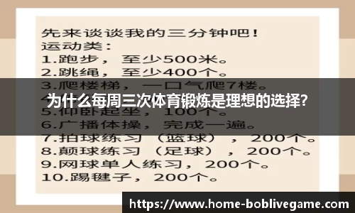 bob真人